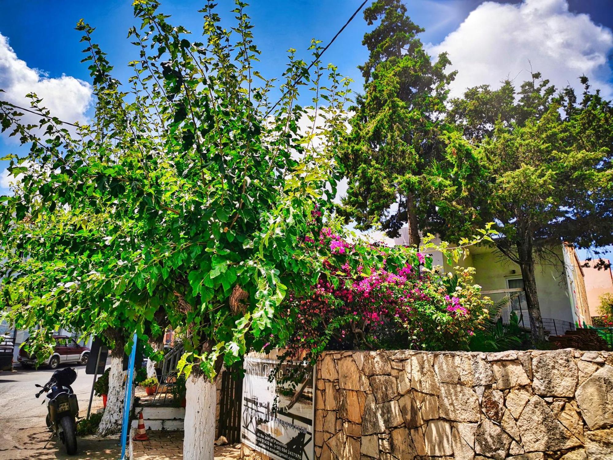 Ble Residence, Your Home Away From Home Pánormos 외부 사진